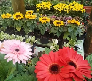 Mask group - 2026-01-16T115955.491