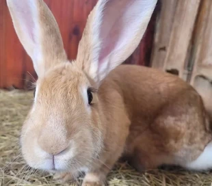 Mask group - 2026-01-20T134342.224