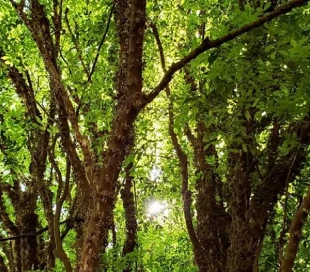 Mask group - 2026-01-20T135604.761