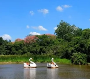 Mask group - 2026-01-20T140108.359