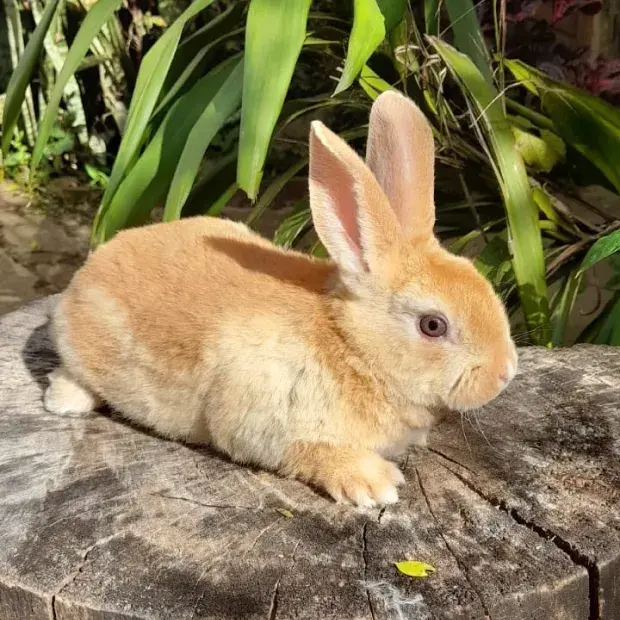 Mask group-2