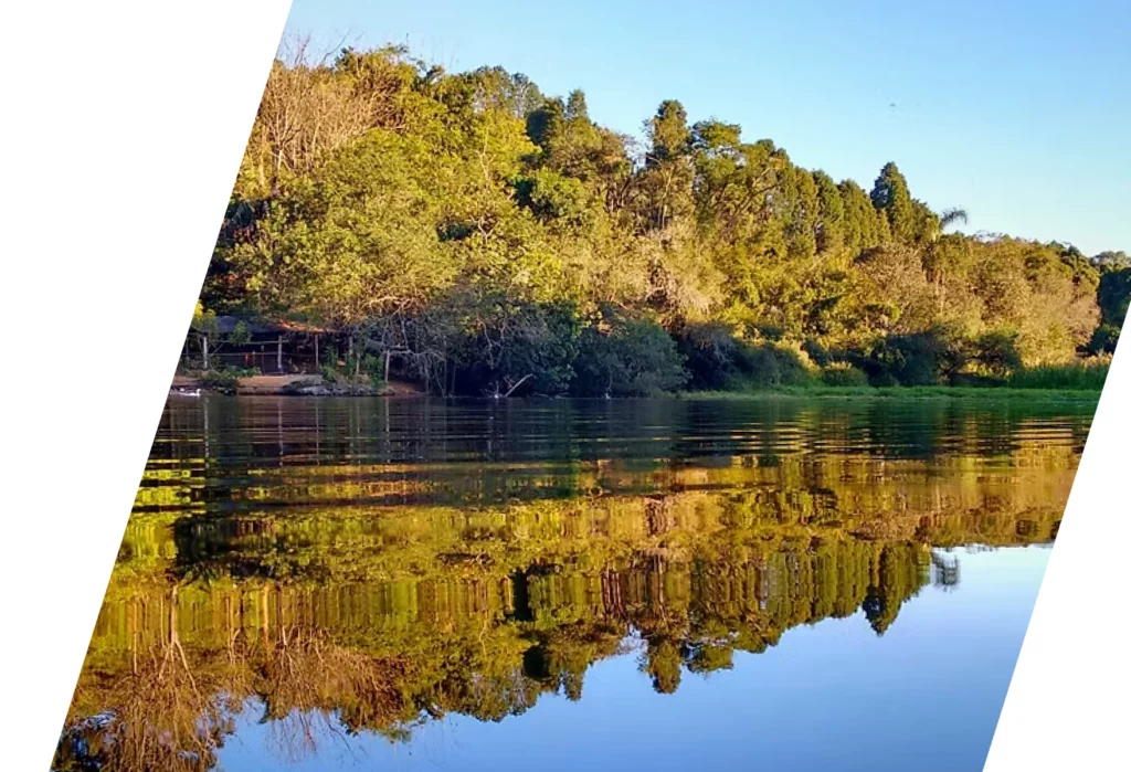 Mask group - 2026-02-03T152855.719