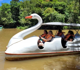 Mask group - 2026-02-03T163316.438