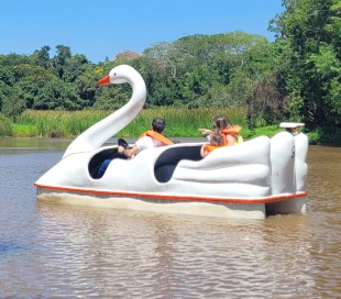 Mask group - 2026-02-03T163409.414