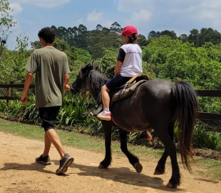 Mask group - 2026-02-03T165053.480