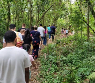 Mask group - 2026-02-03T165845.880