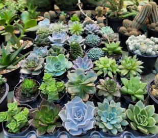 Mask group - 2026-02-03T172027.493