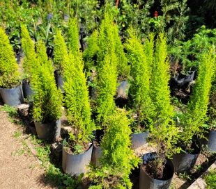 Mask group - 2026-02-03T172040.581