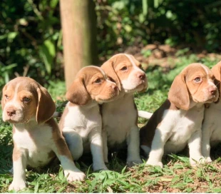 Mask group - 2026-04-15T161757.695